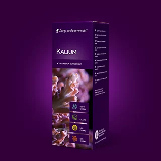 Kalium1 1