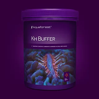 KhBuffer1