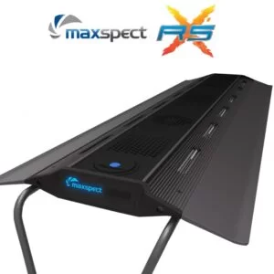 maxspect rsx 4 oceanreef.dk 1