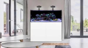 reef.livingroom white 1080x