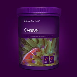 Carbon1 1