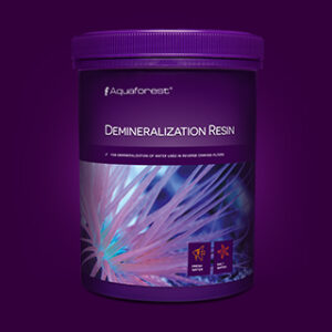 DemineralizationRezin1