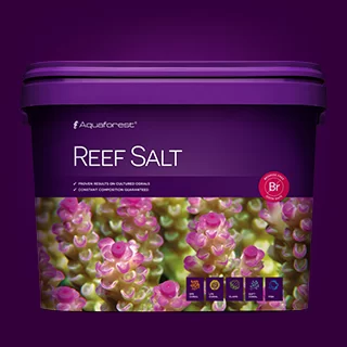 ReefSalt10l 1
