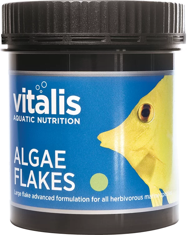 algae flakes medium