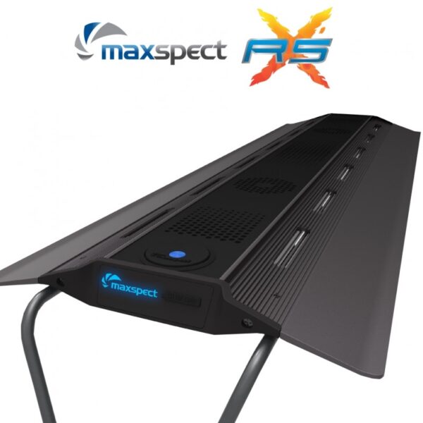maxspect rsx 4 oceanreef.dk