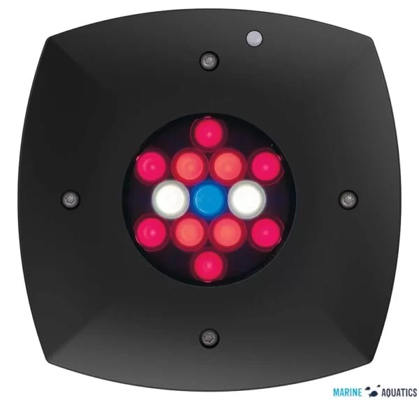 AI Prime Fuge Refugium LED 2