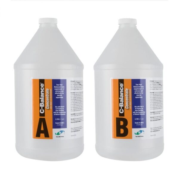 cb22b 748172965028