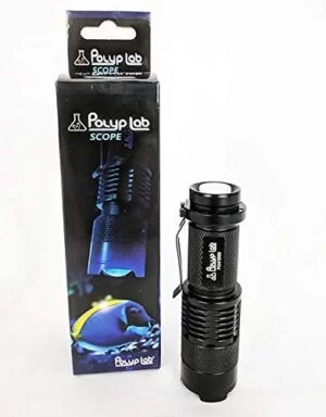 pl flashlight OCEANREEF.DK